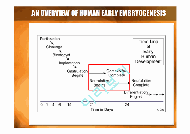 DEVELOPMENTAL BIOLOGY   (5 )